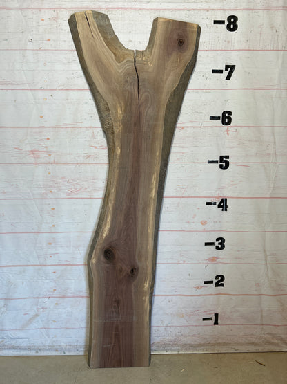 Live Edge Walnut Sku#28523J-33