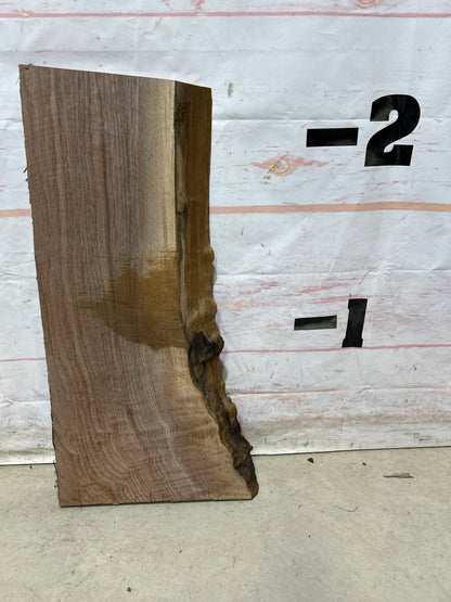 Live Edge Walnut Sku#27757M-5