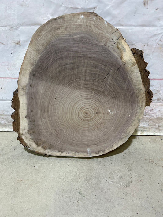 Live Edge Walnut Cookie Sku#28157M