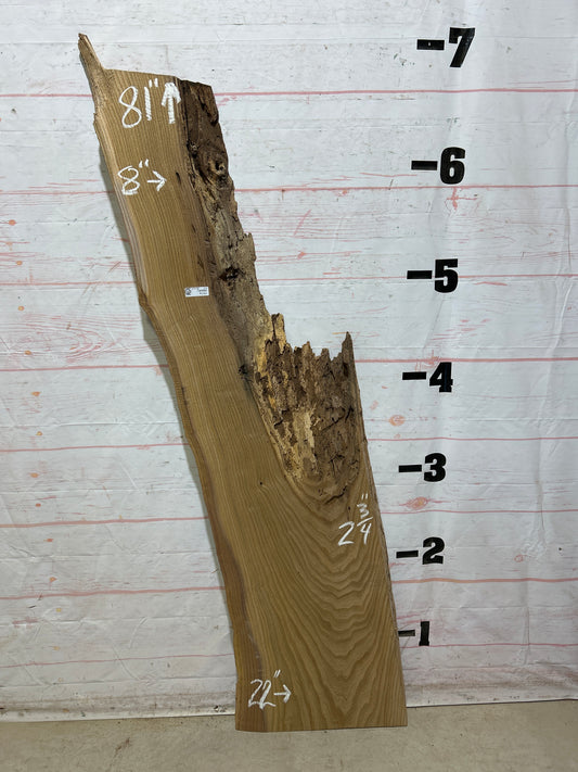 Live Edge Catalpa Sku#27428-23