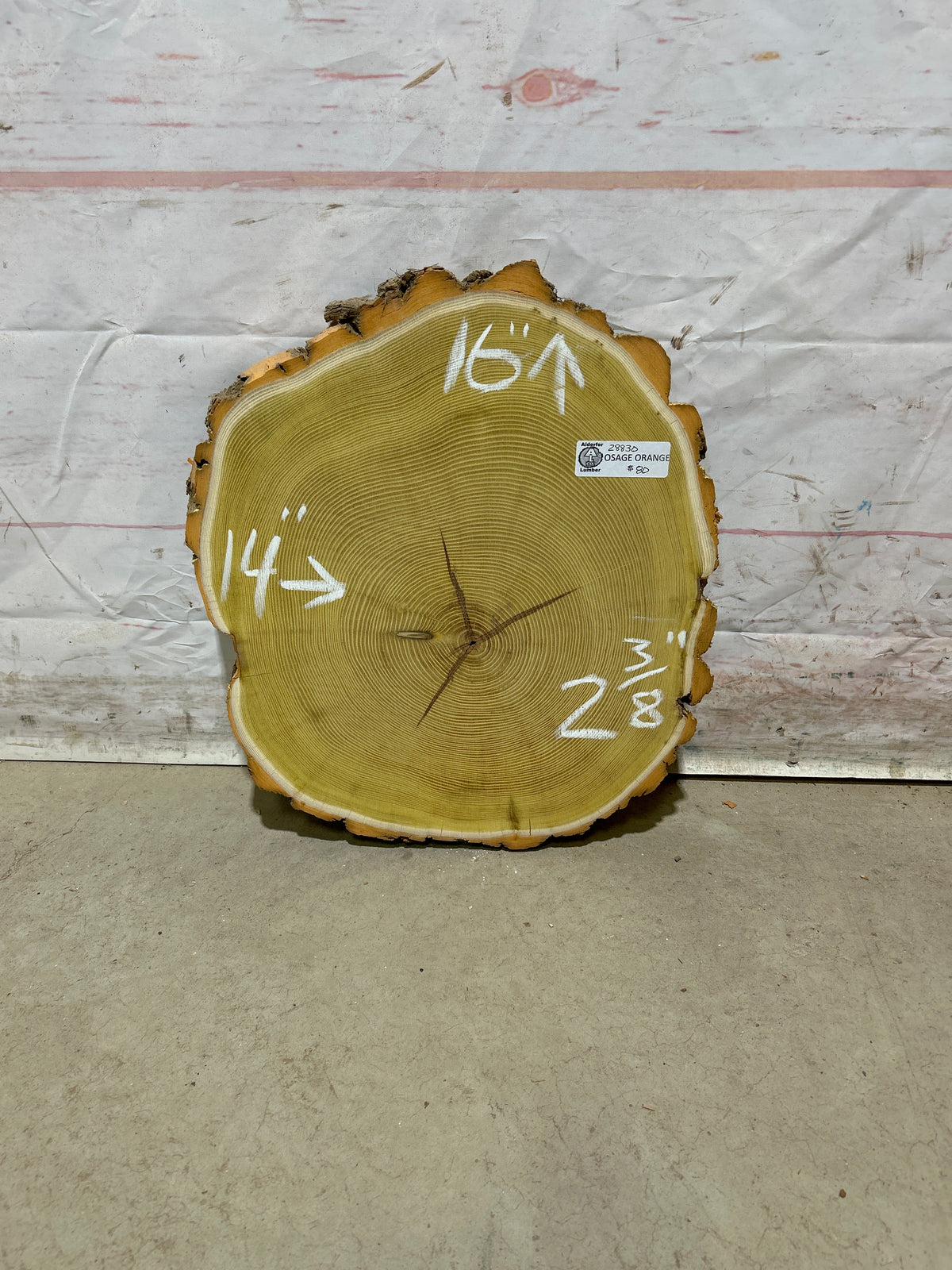 Live Edge Osage Orange Sku#28830M