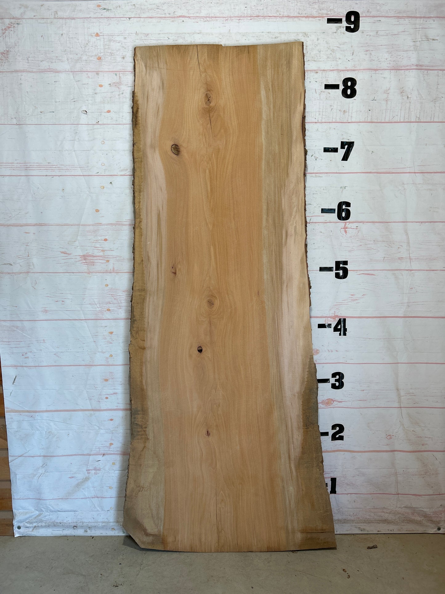 Live Edge Sycamore Sku#28460-48