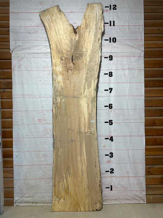 Live Edge Spalted Maple Sku#27304-78