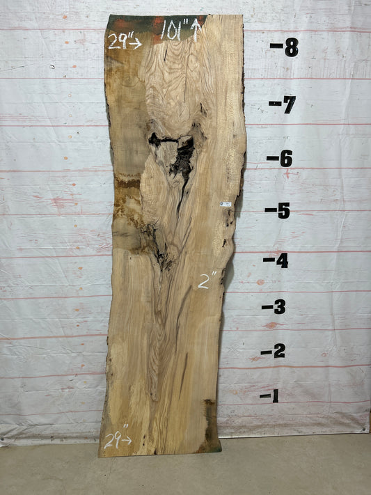 Live Edge Ash Sku#27609-41