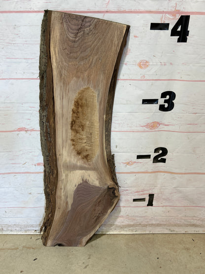 Live Edge Walnut Sku#27967G-10