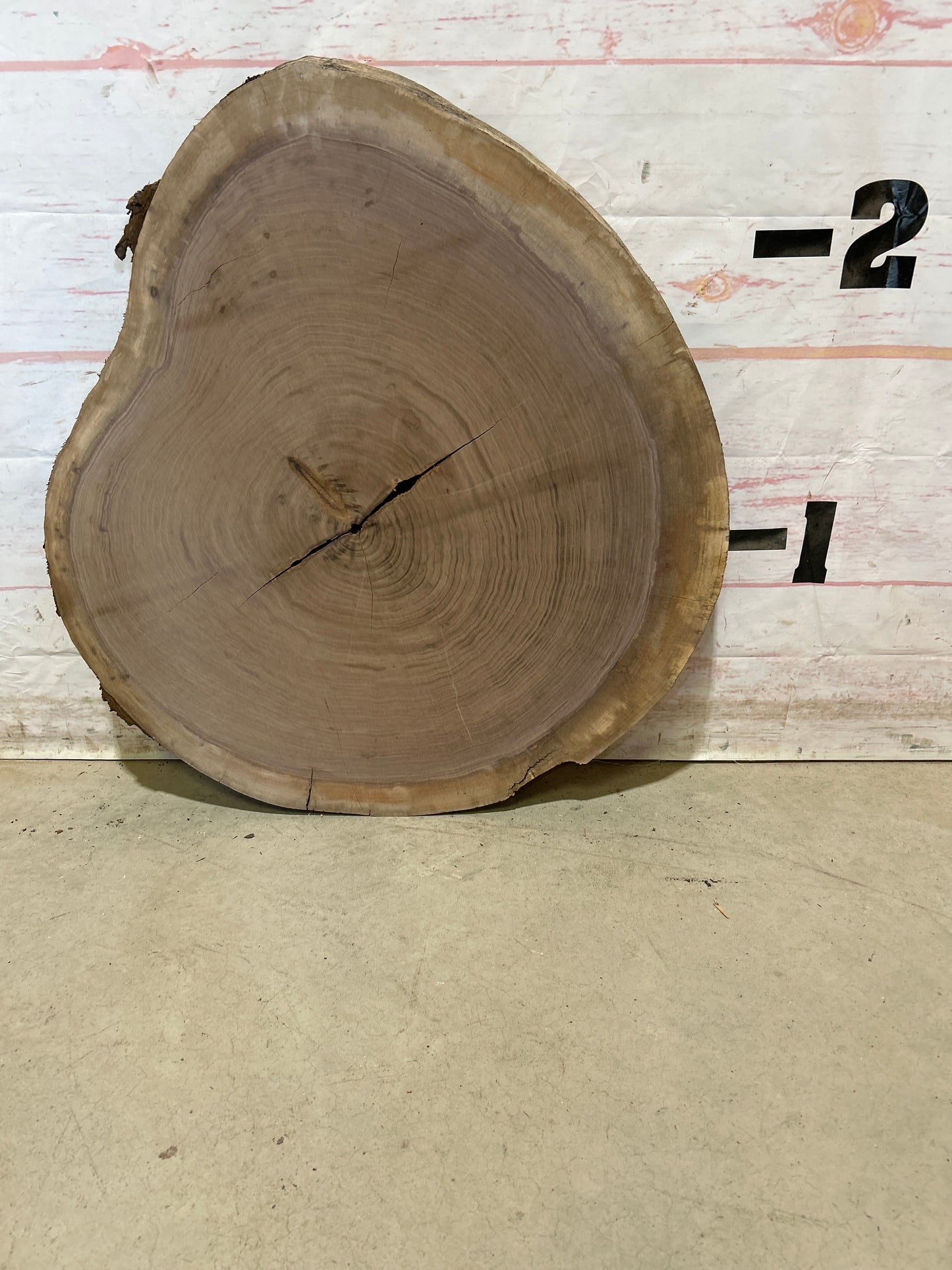 Live Edge Walnut Cookie Sku#28446M