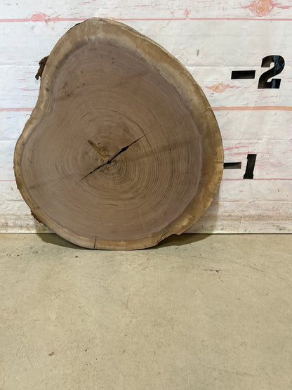 Live Edge Walnut Cookie Sku#28446M
