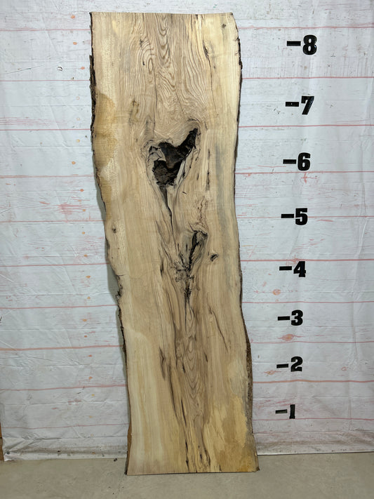 Live Edge Ash Sku#27608-43