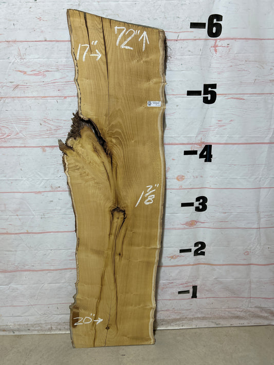 Live Edge Mulberry Sku#27616H-19