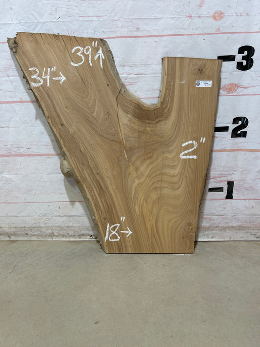 Live Edge Elm Sku#27501M-14