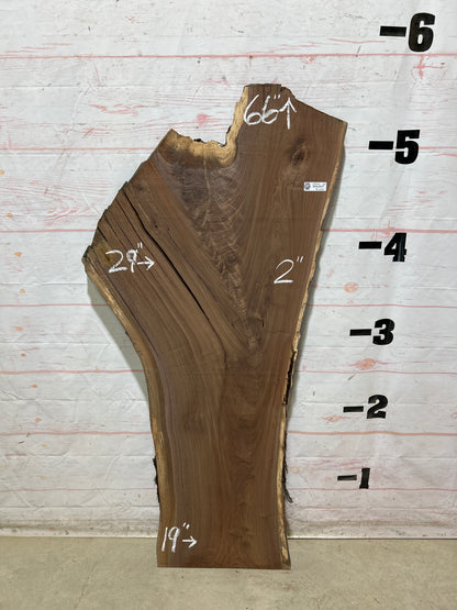 Live Edge Walnut Sku#28940G-22
