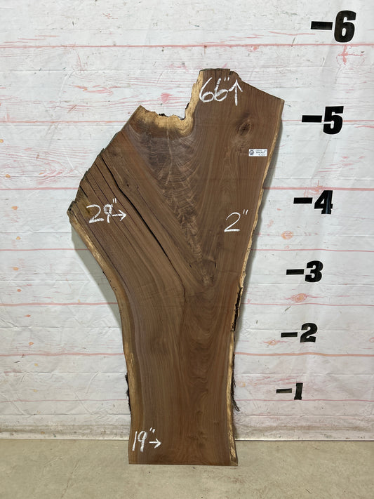 Live Edge Walnut Sku#28940G-22