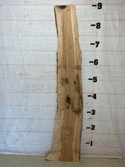 Live Edge Maple Sku#28262-24