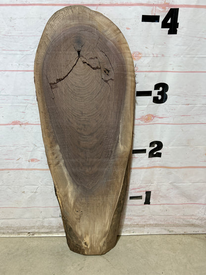 Live Edge Walnut Sku#28147M-10