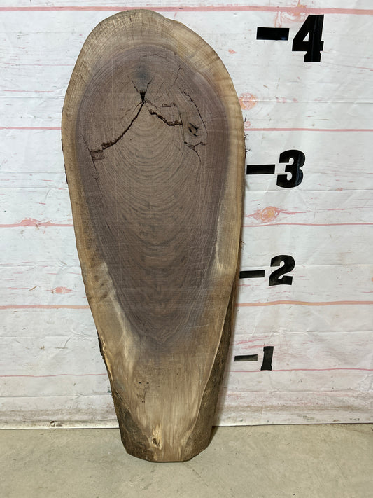 Live Edge Walnut Sku#28147M-10
