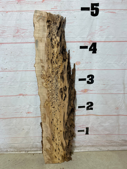 Live Edge Ambrosia Maple Sku#27270-11