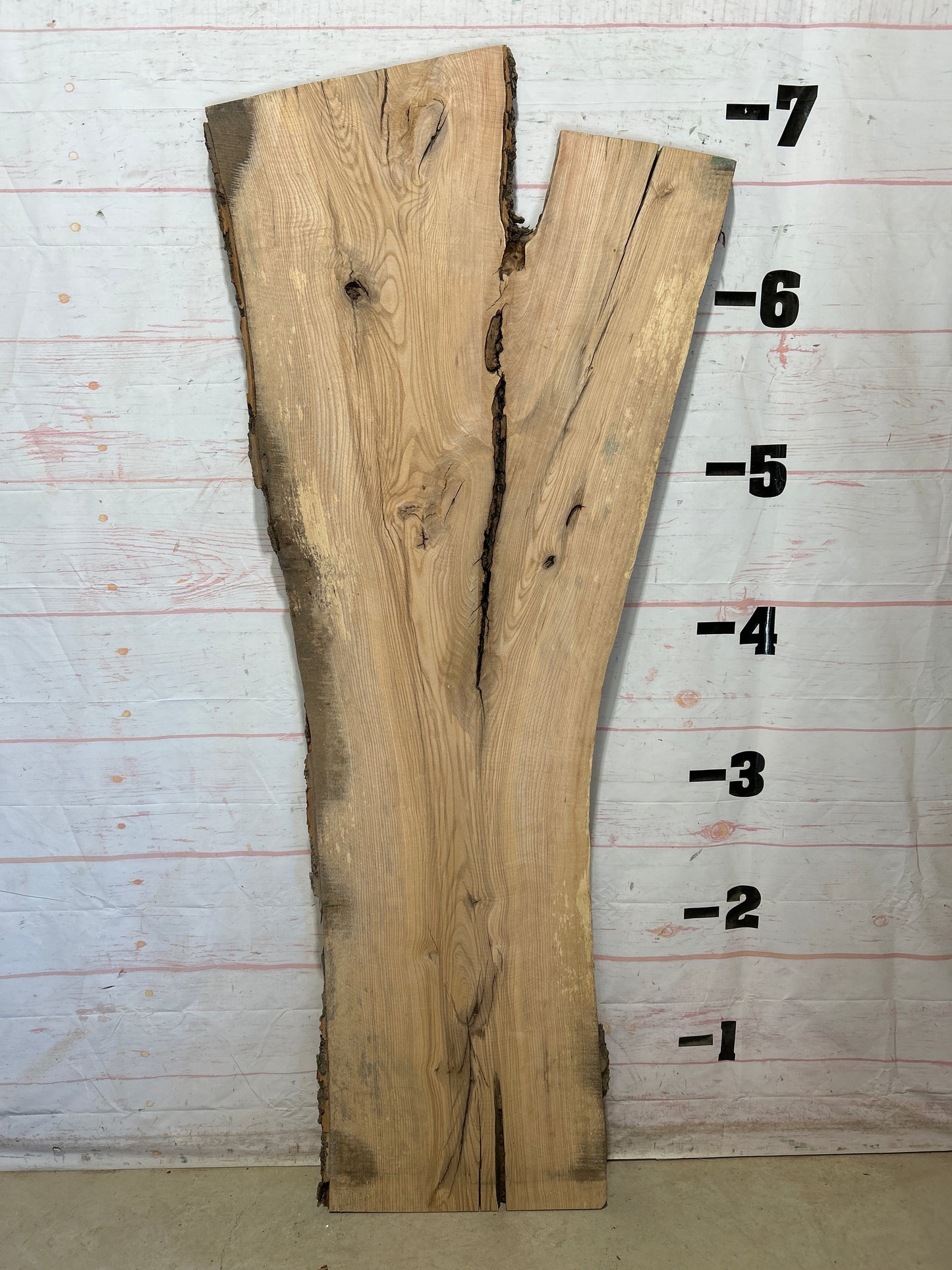 Live Edge Ash Sku#28508-33