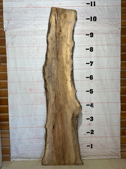 Live Edge Sycamore Sku#28238-56