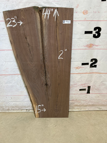 Live Edge Walnut Sku#28221M-12