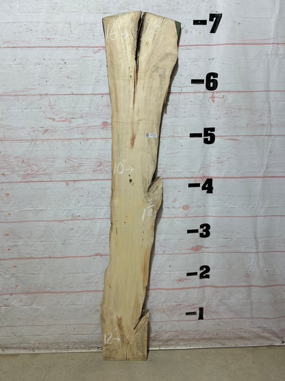 Live Edge Box Elder Sku#27438D-12