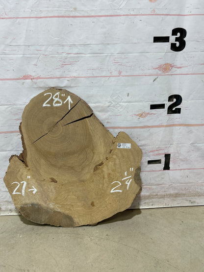Live Edge White Oak Cookie Sku#28991M