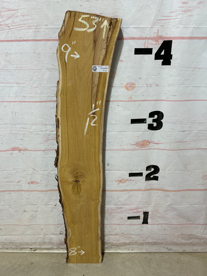Live Edge Mulberry Sku#28372M-5
