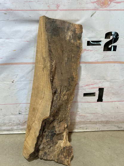 Turning Stock Soft Maple Sku#29021M-7