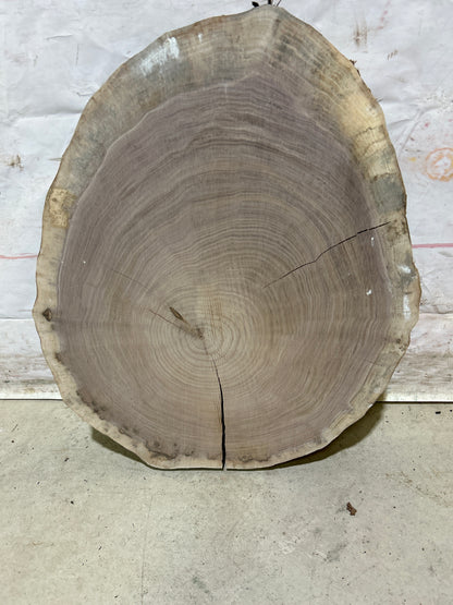 Live Edge Walnut Cookie Sku#28167M