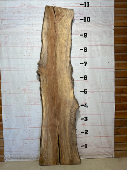 Live Edge Sycamore Sku#28239-65