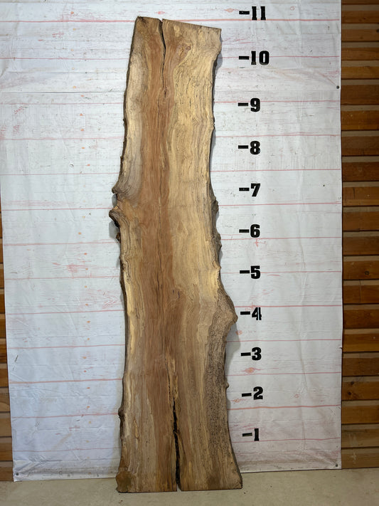 Live Edge Sycamore Sku#28239-65
