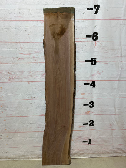Live Edge Walnut Sku#27325C-18