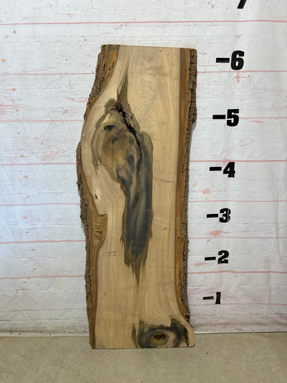 Live Edge Poplar Sku#28809M-24
