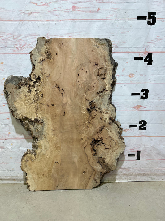 Live Edge Maple Sku#27414E-21