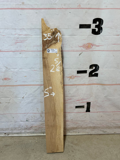 Turning Stock Soft Maple Sku#29016M-3