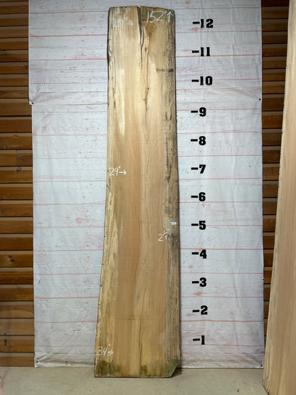 Live Edge Spalted Sycamore Sku#27488-74