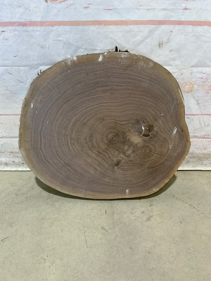 Live Edge Walnut Cookie Sku#28176M