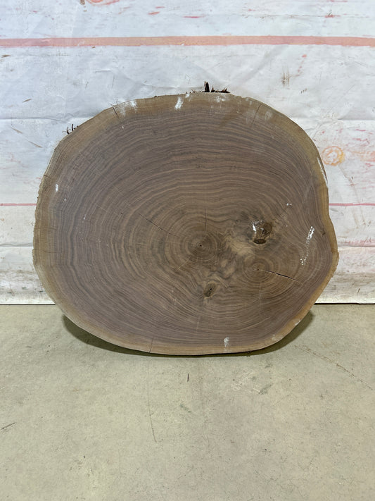 Live Edge Walnut Cookie Sku#28176M