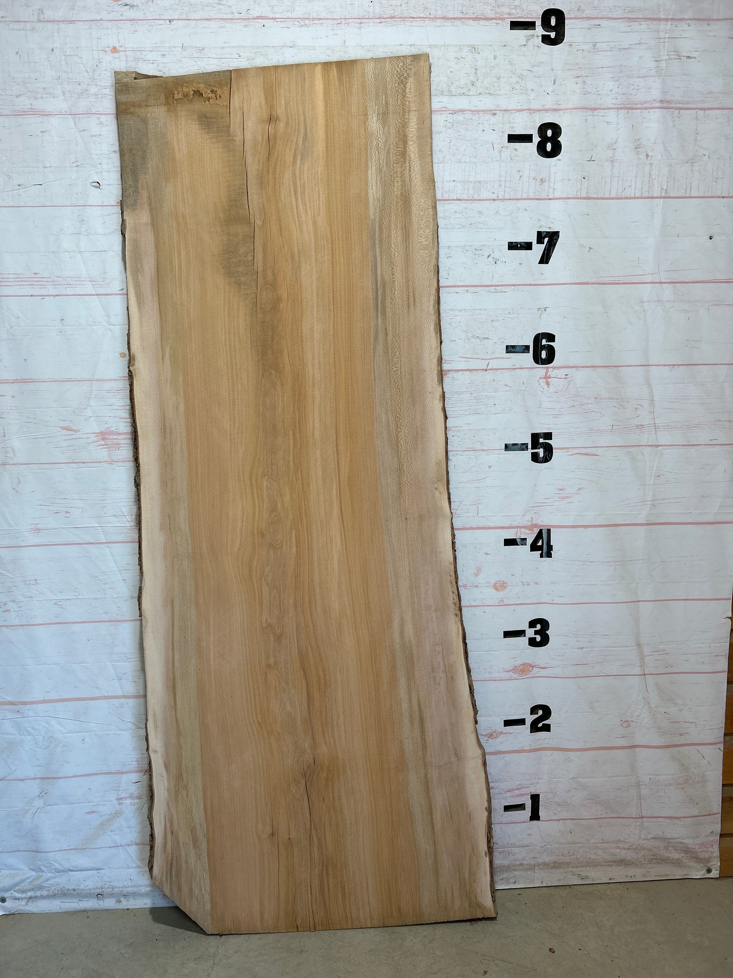 Live Edge Sycamore Sku#28457-56