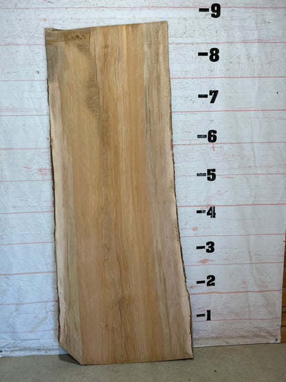 Live Edge Sycamore Sku#28457-56