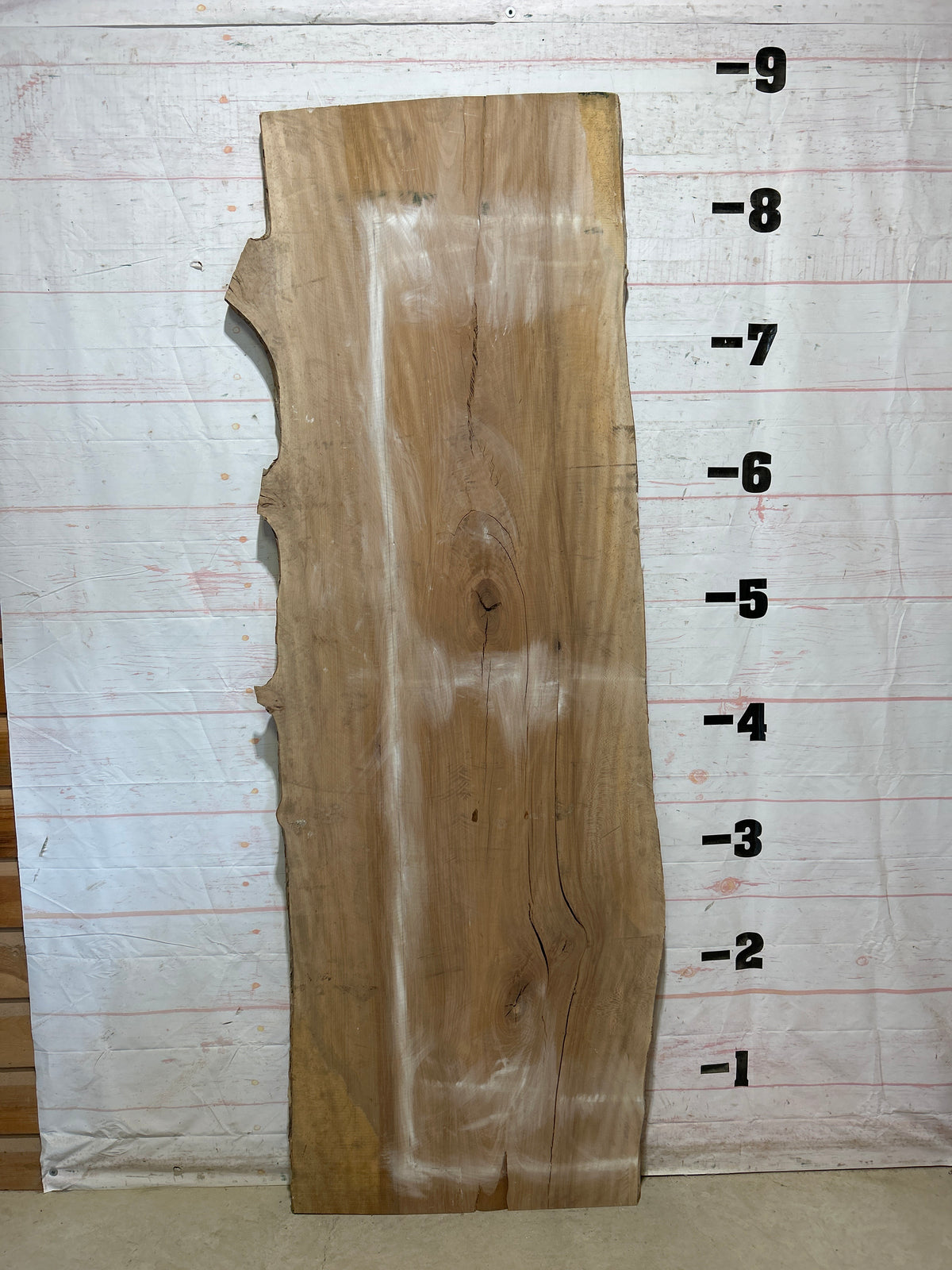 Live Edge Sycamore Sku#28810-43