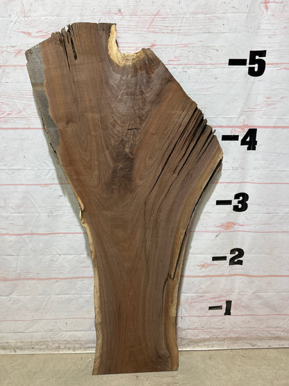 Live Edge Walnut Sku#28938G-19