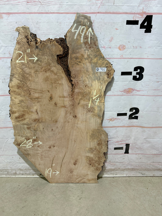 Live Edge Maple Sku#28087M-10
