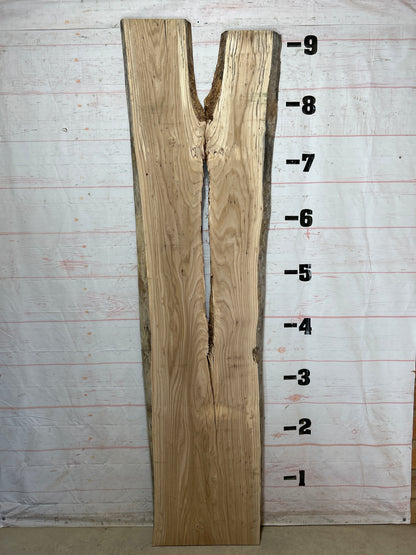 Live Edge Elm Sku#29031-46