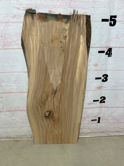 Live Edge Elm Sku#27508D-20