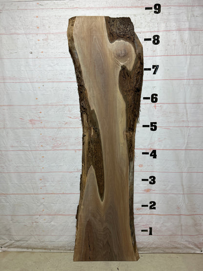 Live Edge Walnut Sku#28300J-42