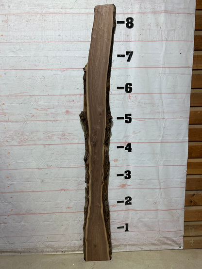 Live Edge Walnut Sku#27998M-12