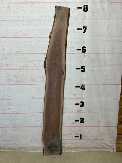 Live Edge Walnut Sku#28212M-7