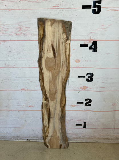 Live Edge Hickory Sku#28611M-6