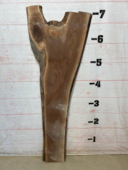 Live Edge Walnut Sku#27817-21