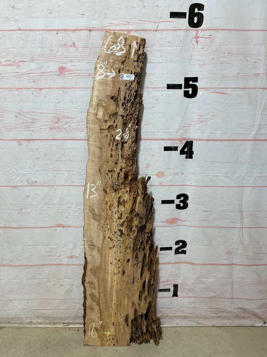 Live Edge Ambrosia Maple Sku#27267-13